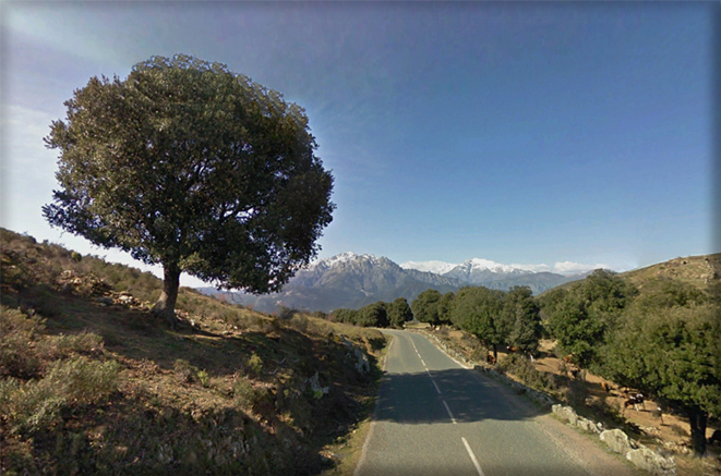 n_18_bocca-di-riscamone_d71_ 2006.jpg